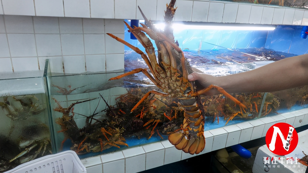 三亚旅行吃喝玩乐,三亚旅游攻略自由行吃喝玩乐