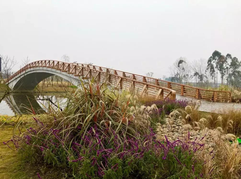 成都市区小众景点免费,成都冷门旅游景点推荐