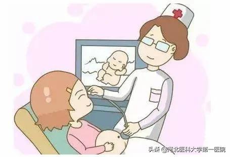 收藏了!最全孕期检查,宝妈宝爸一起看更有爱