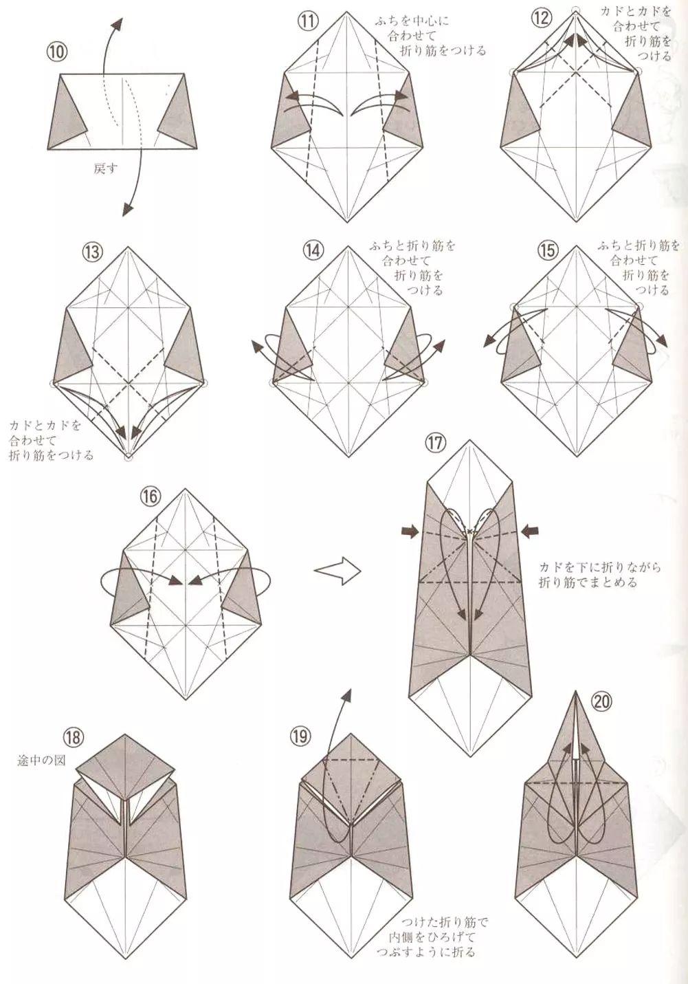 各种恐龙异特龙,五大最残暴的肉食恐龙异特龙