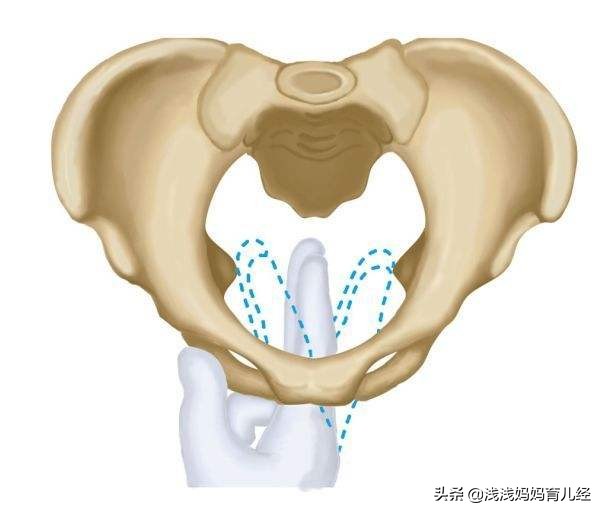 顺产后产道与产前对比,分娩的产道