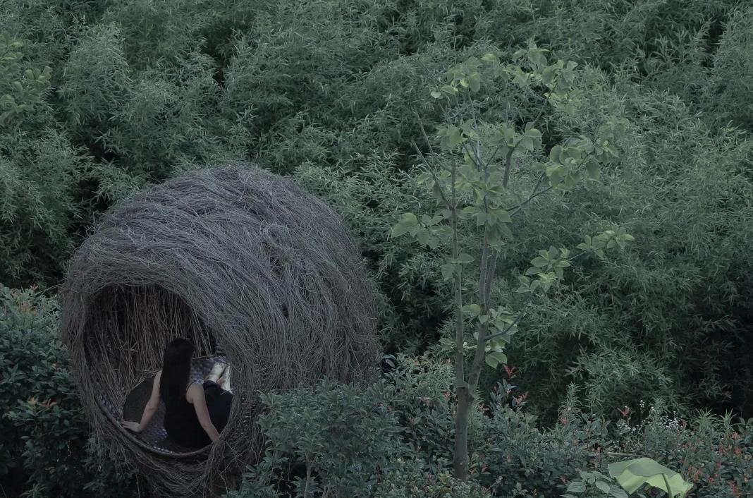 山林竹笋泊云屋舍.....莫干山每一宿都有不期而遇小惊喜