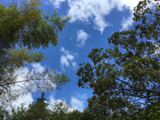 从化溪头自驾游视频,从化溪头村一日游路线