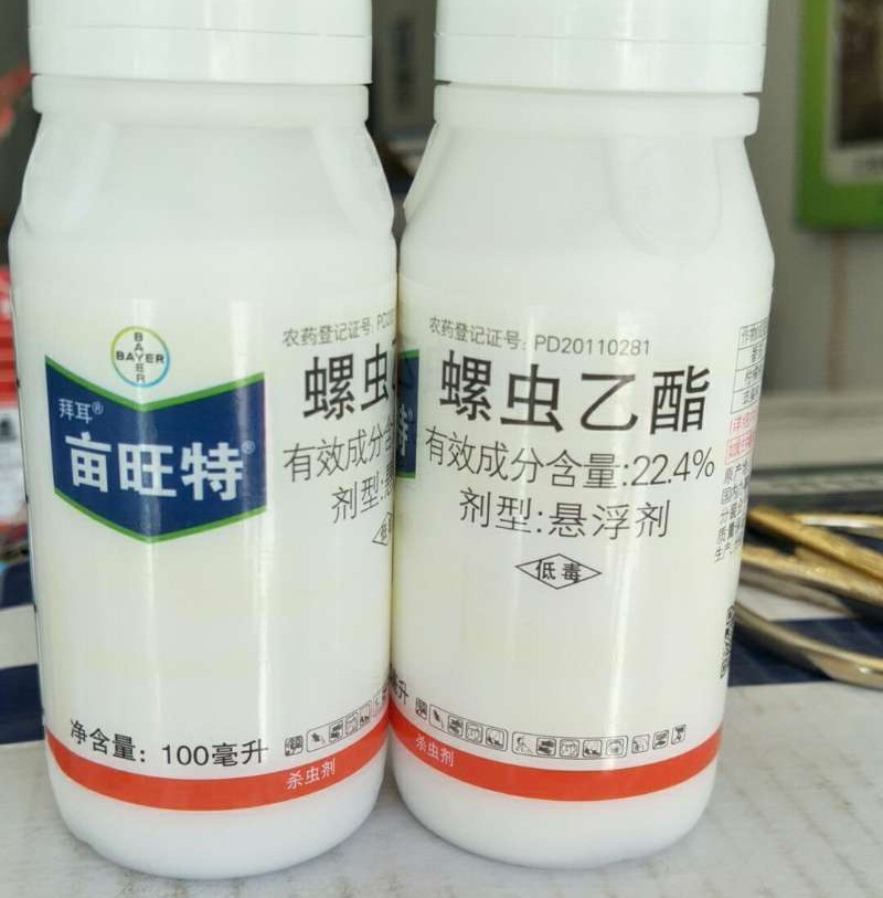 天堂鸟的蚧壳虫对人有危害吗,蚧壳虫怎么危害树木的