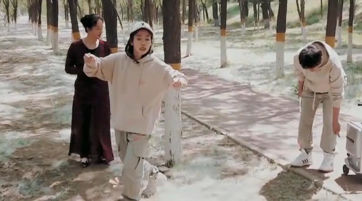 李佳航对李晟的评价,李晟李佳航谈现状