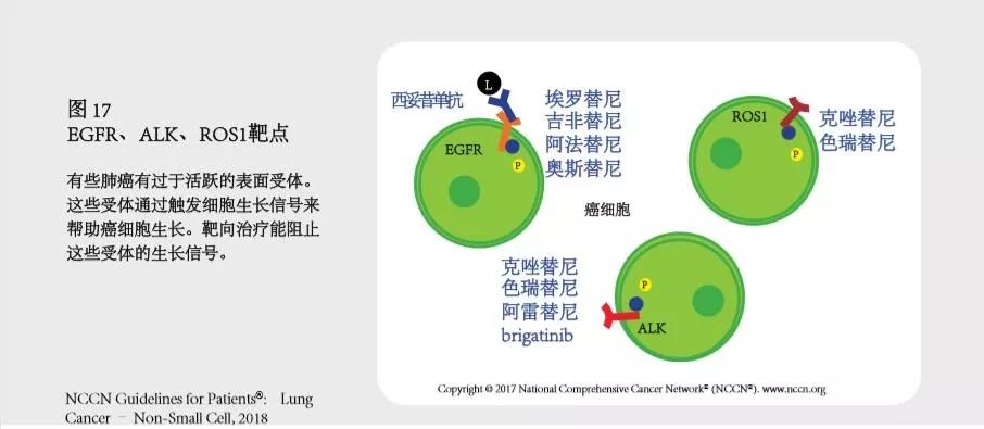 肺癌指南2023年版下载,肺癌治疗指南2023文档下载