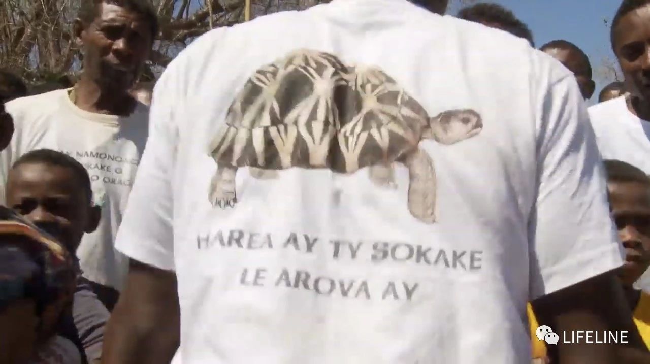 龟中“考拉”，请别让我们的孩子在博物馆见到它们...