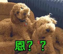 滨海公交515,滨海新区公交长线车