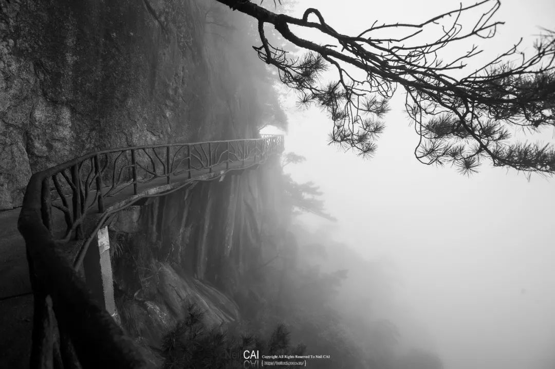 黑白摄影灰度,黑白摄影简约