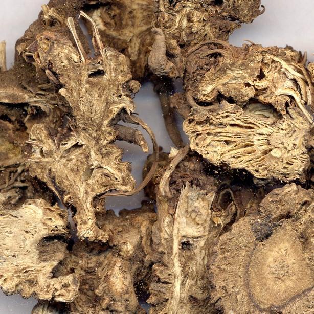 藁本神农本草经,神农本草经葛根原文