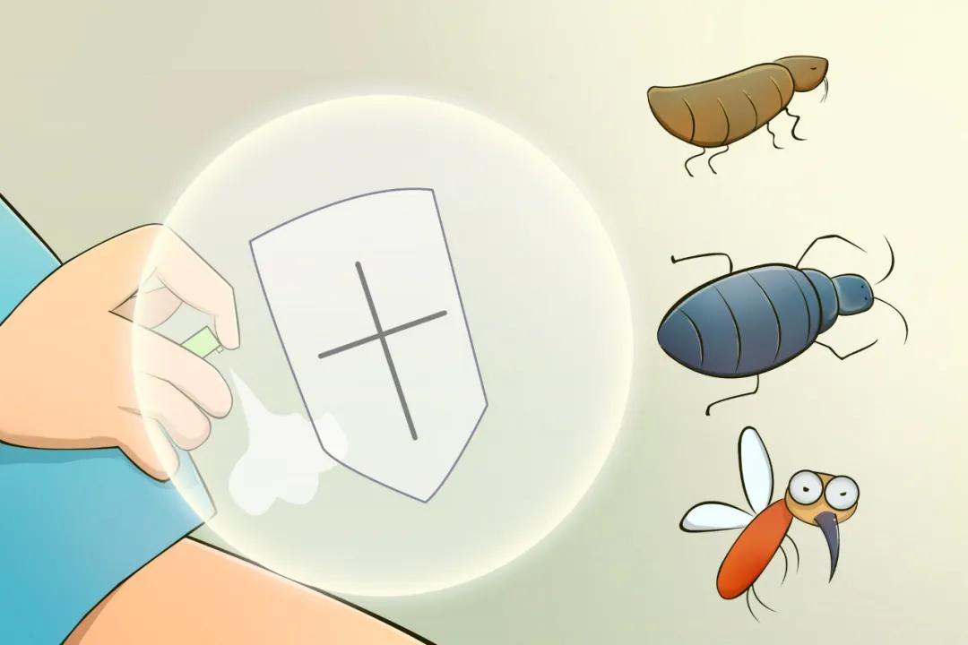 如何解决房间的蚊虫,老人的房间怎样防蚊