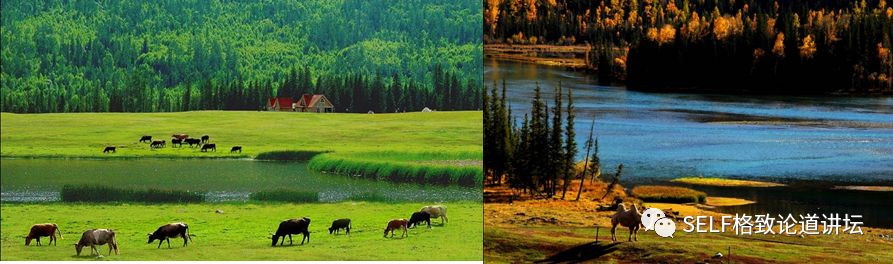 新疆天山世界文化遗产,天山为什么被入选为世界自然遗产