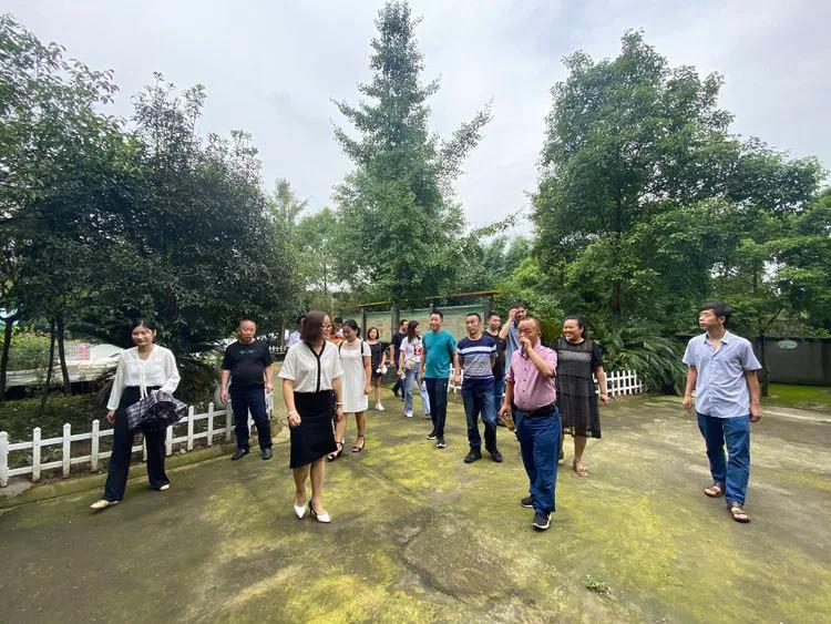 大邑乡村振兴示范点有哪些,大邑乡村振兴先进经验