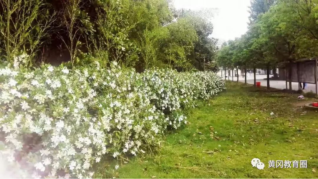 英山二程希望中学,英山二程希望中学排名