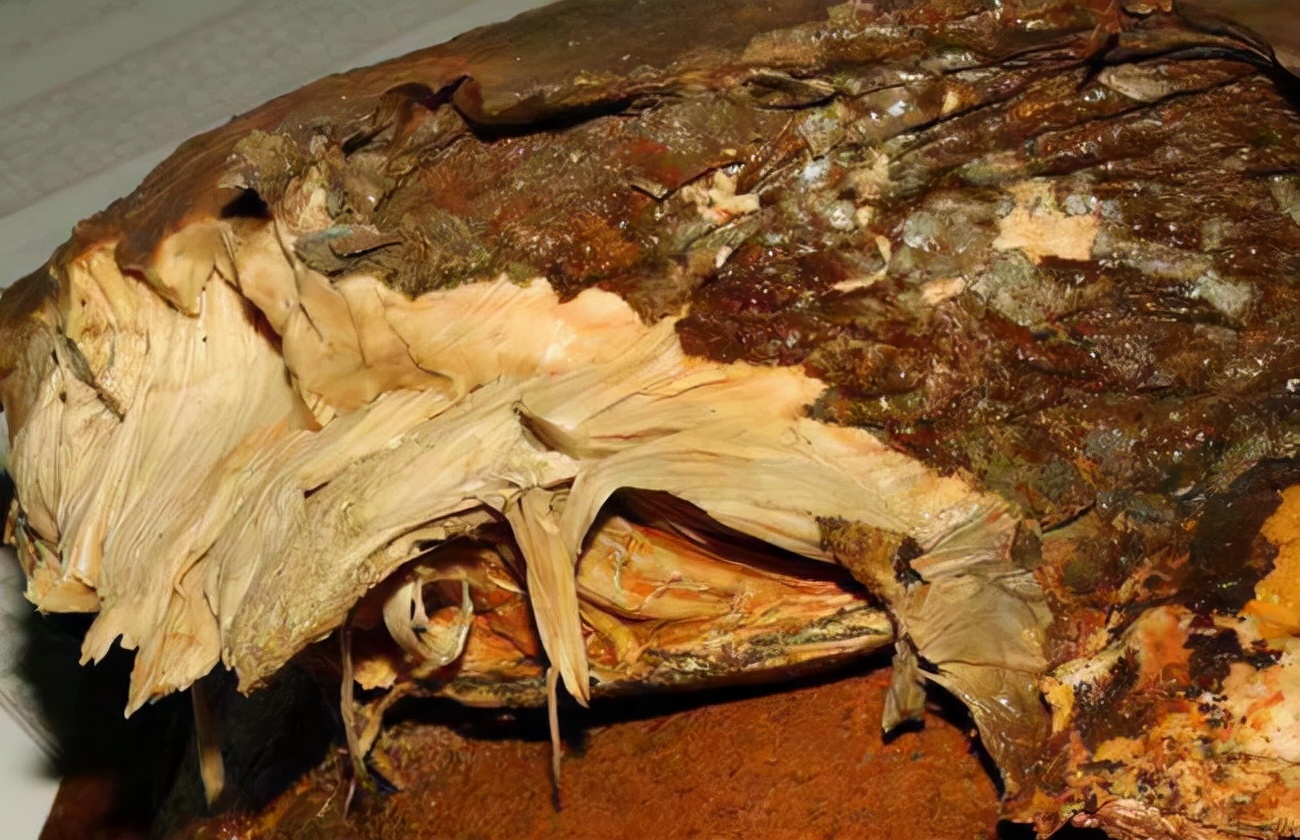 太岁的功效与作用有科学依据,吃传说中的太岁