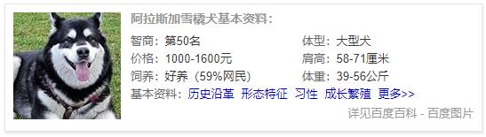 狗狗品种大全及介绍,狗狗品种大全带你走进狗狗的世界