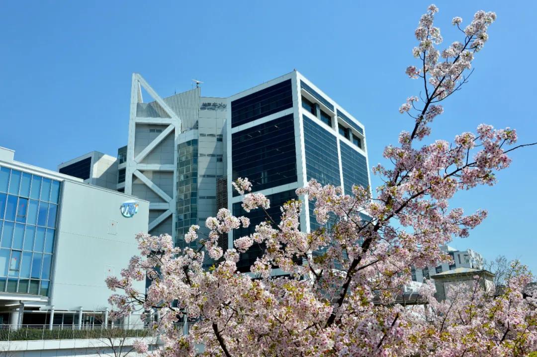 上美集团刘明个人简历,上美集团副总裁刘明