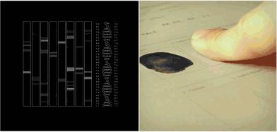 数学直观图,数学直观图画法