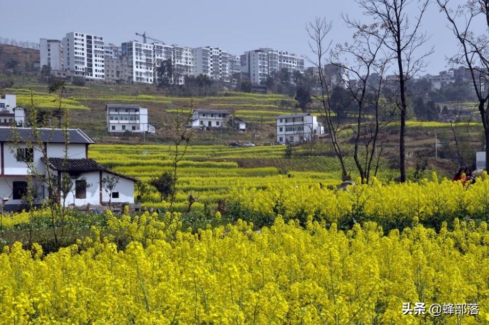 农村小伙刚入电商这行投入十几万,农村小伙创业干电商怎么样