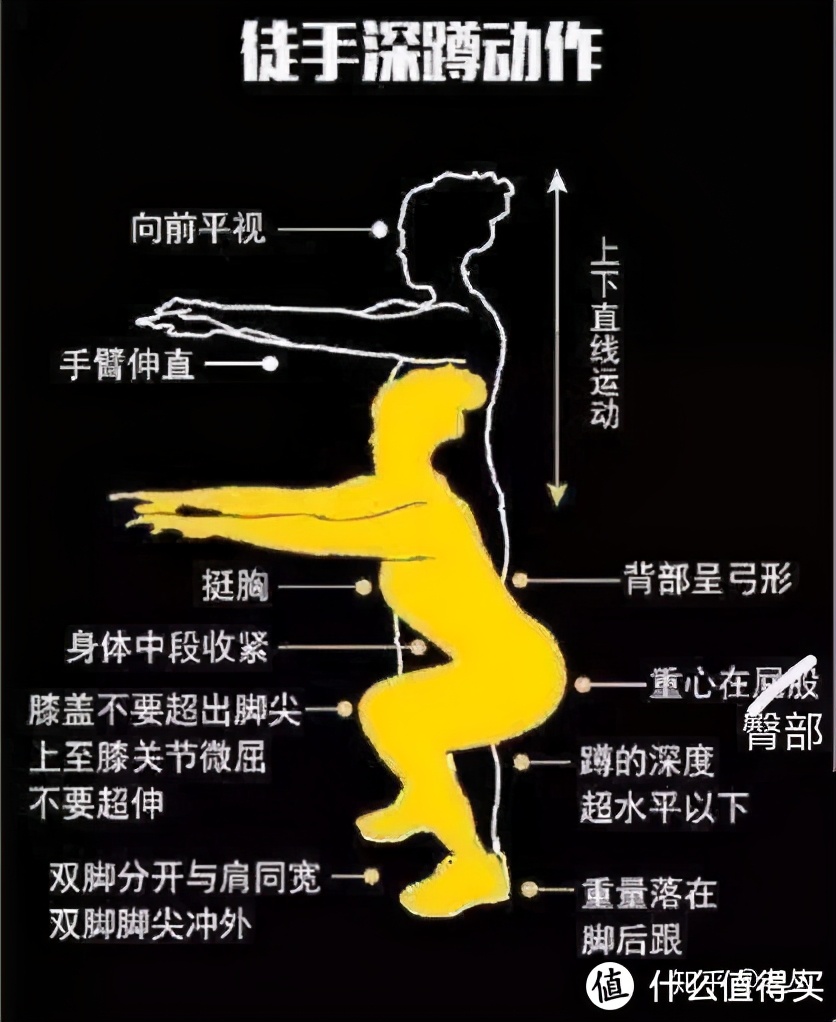 深蹲的好处和坏处深蹲的正确姿势,深蹲的标准动作与功效