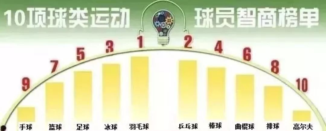 运动员智商排名,羽毛球智商高手排行榜