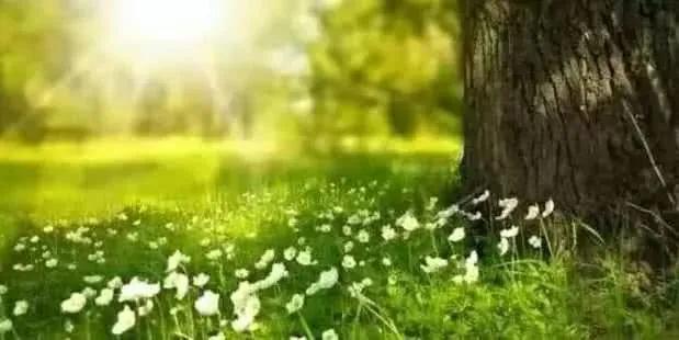 关于春天的古诗词美篇,让人惊艳的春天古诗词