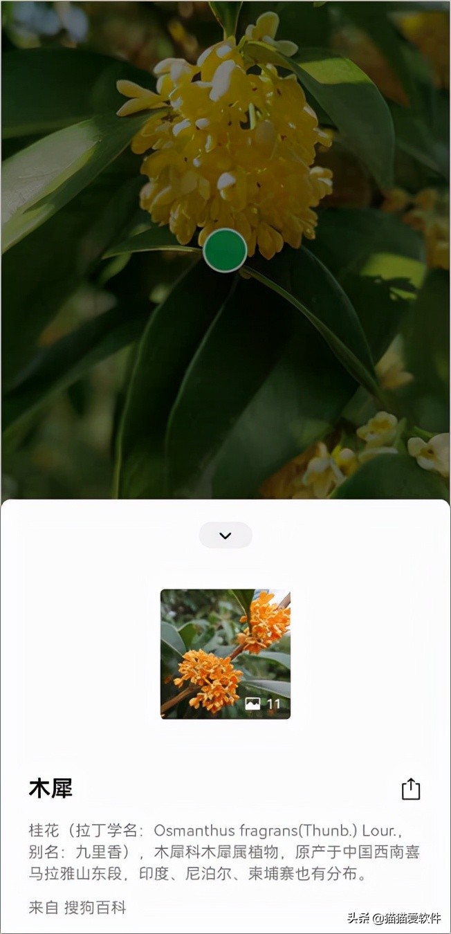 除了微信聊天还有什么软件,除了微信还有什么交流软件么
