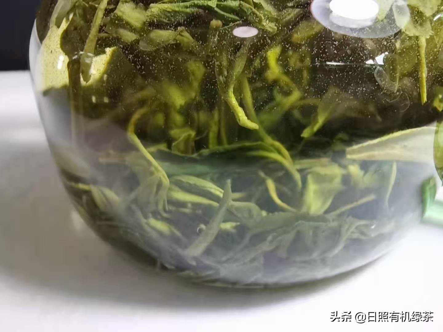 丑我认可咱有劲!来自日照绿茶晚秋茶的自白