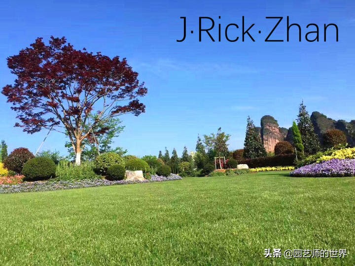 果岭草坪的种植养护方法及技巧,怎么种植一个可以躺的草坪