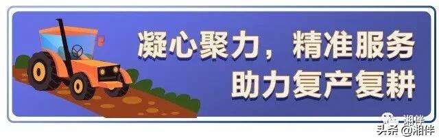 看，点亮这个春天的那些“雷锋面孔”
