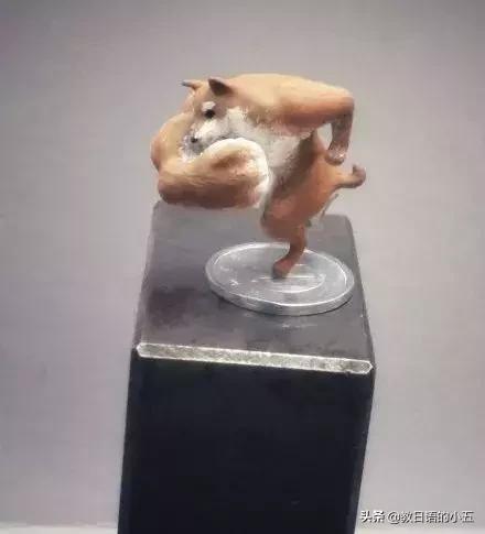 日本的一只“肌肉柴犬”火了，竟然还出了手办？！