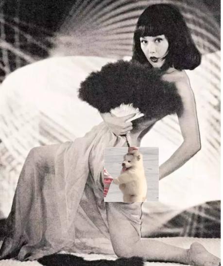 一代*星艳**遭封杀、被出轨，还毁容，69岁却重新光芒万众