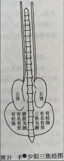 古代名著对于“三焦”的认识举隅，有形无形之辨