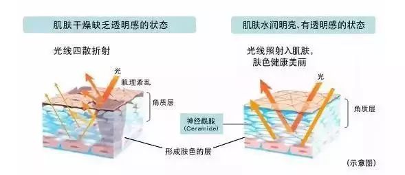 堪比科颜氏白泥的其他护肤品,堪比科颜氏精华