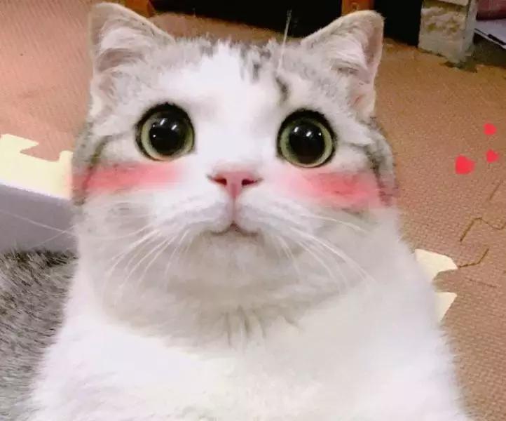 被曝光的网红面膜,被夸上天的神仙面膜怎么样