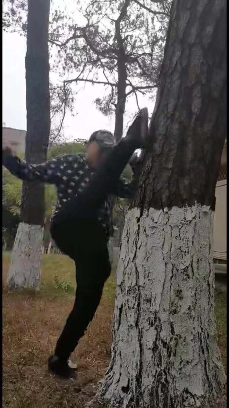 传武田野苦练里合腿绝技，踢飞树皮威慑太极雷雷，二战值得期待