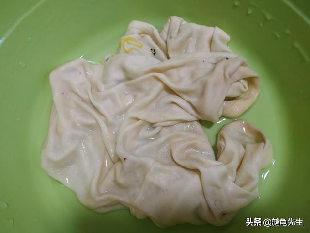 乌龟冷水冬眠和泥土冬眠哪个好,深水乌龟冬眠的正确方法图解