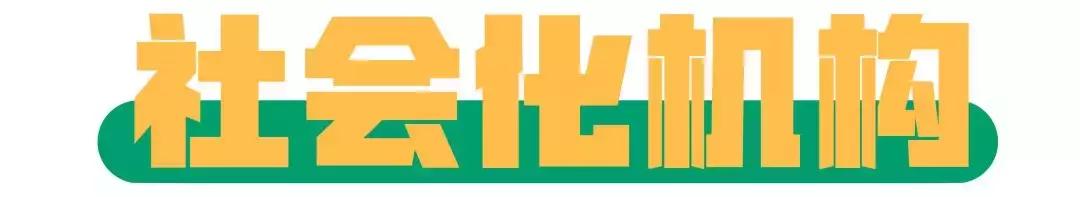 网上新车注册登记流程,新车注册登记步骤