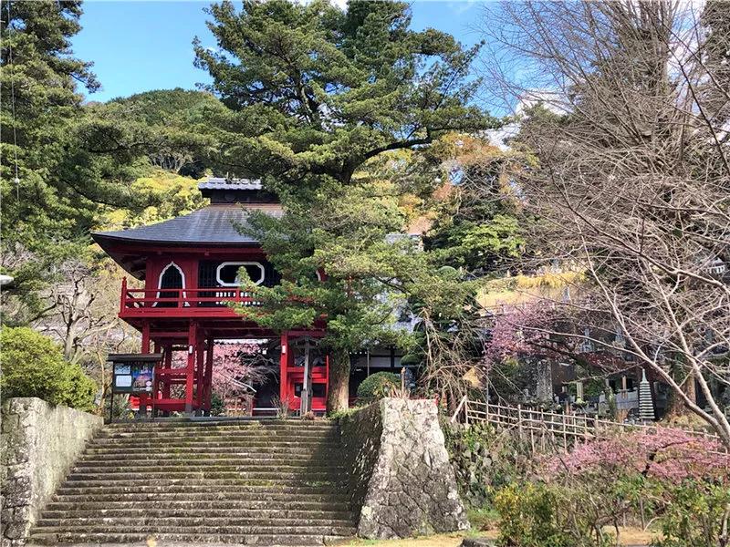 去日本买口罩要注意什么,在日本应该买什么口罩