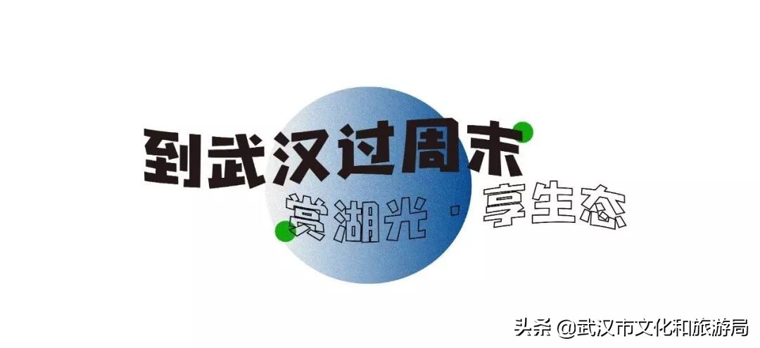 武汉环城绿道,武汉上半年全线贯通的新绿道