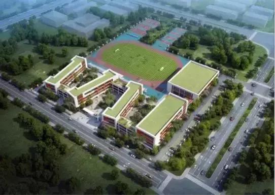 双流上私立小学要什么条件,成都公立小学怎么选