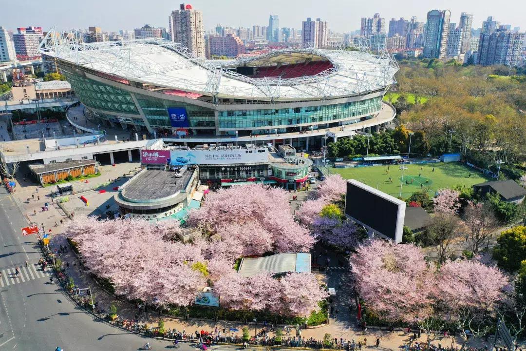 最美的花送给大家共赏,最美的花送给大家观赏