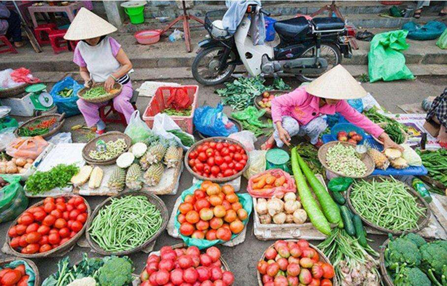 卖蔬菜怎样快速一年赚一亿元,蔬菜批发生意的诀窍