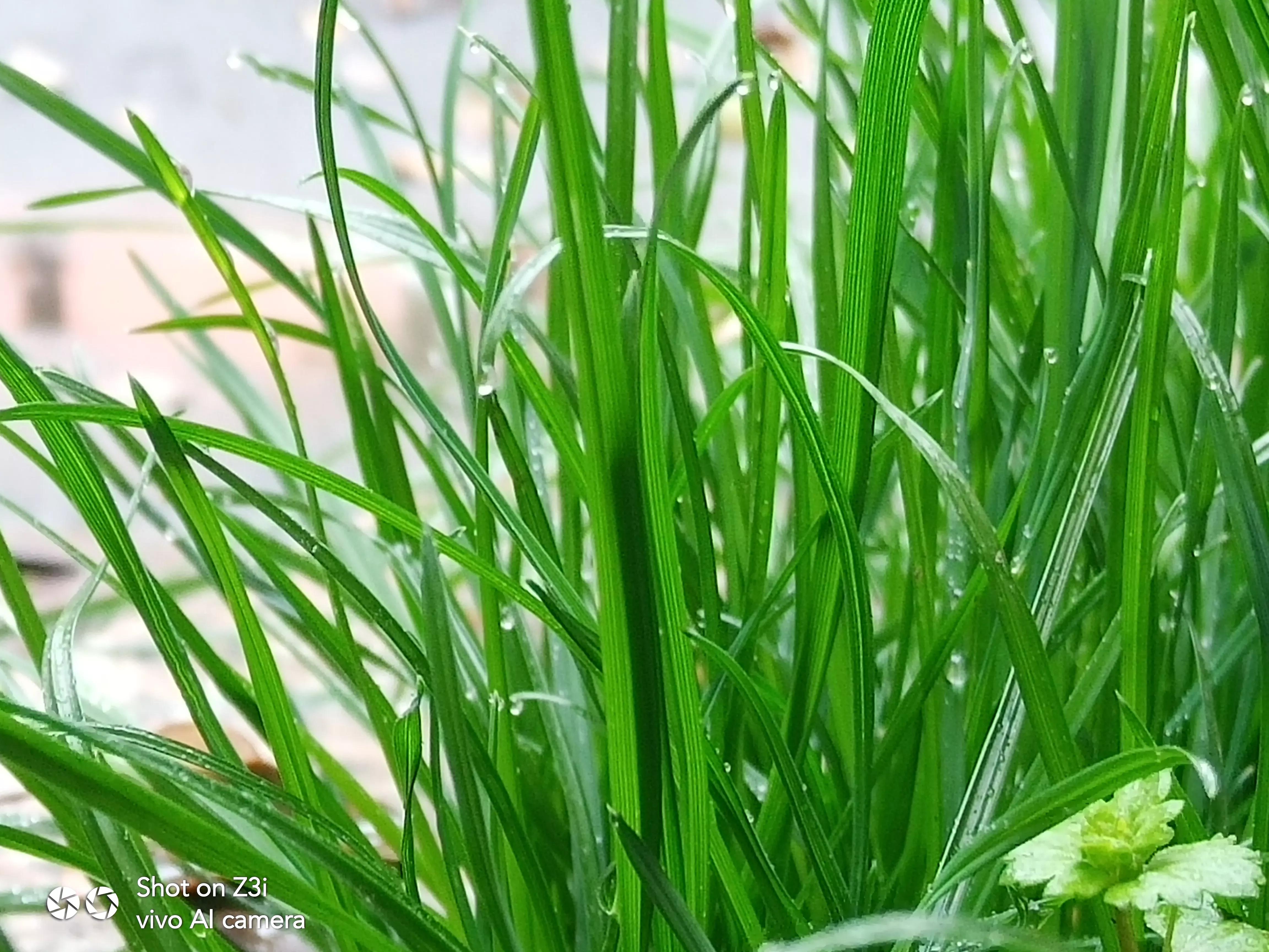 与青春期的儿子斗智斗勇,和青春期孩子斗智斗勇
