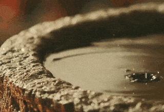 国珍天禄酒品鉴,国珍天禄酱酒53度价格表