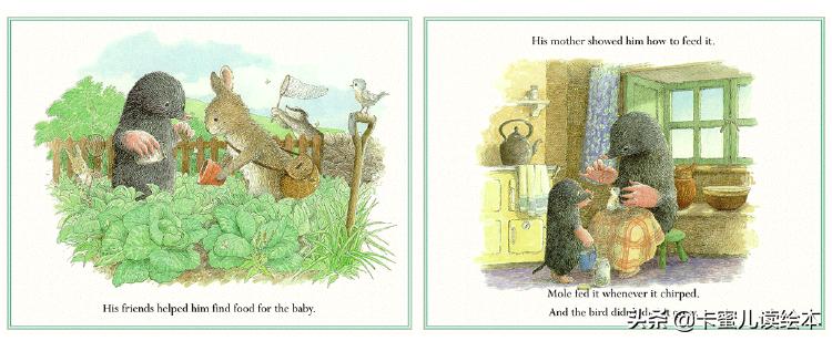 英文绘本动画故事完整版,英语绘本鼹鼠和小鸟