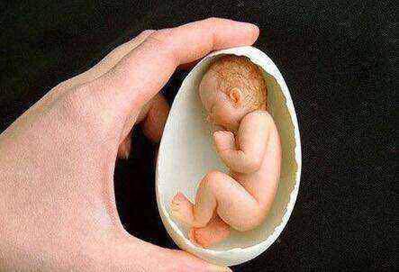 一例极低体重早产儿的个案护理,低体重新生儿还在住院