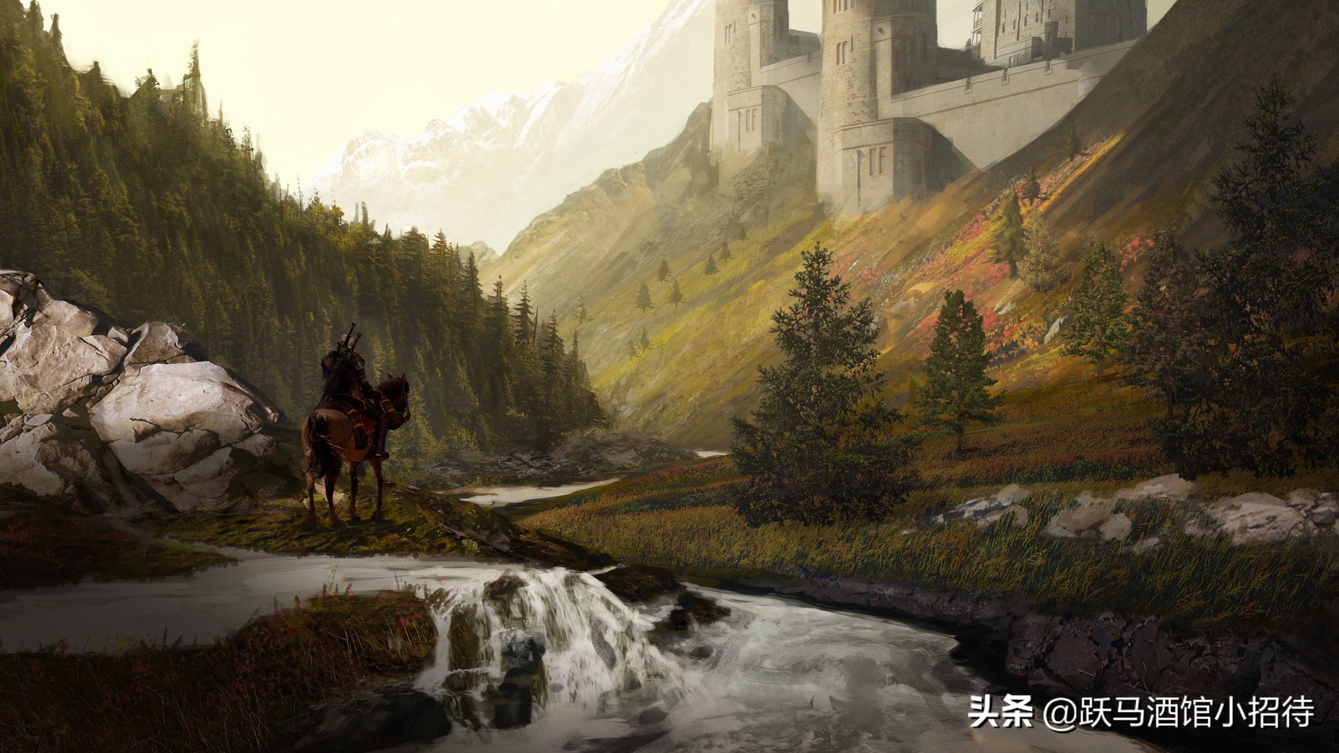 巫师故事全系列解析,巫师进化史全过程