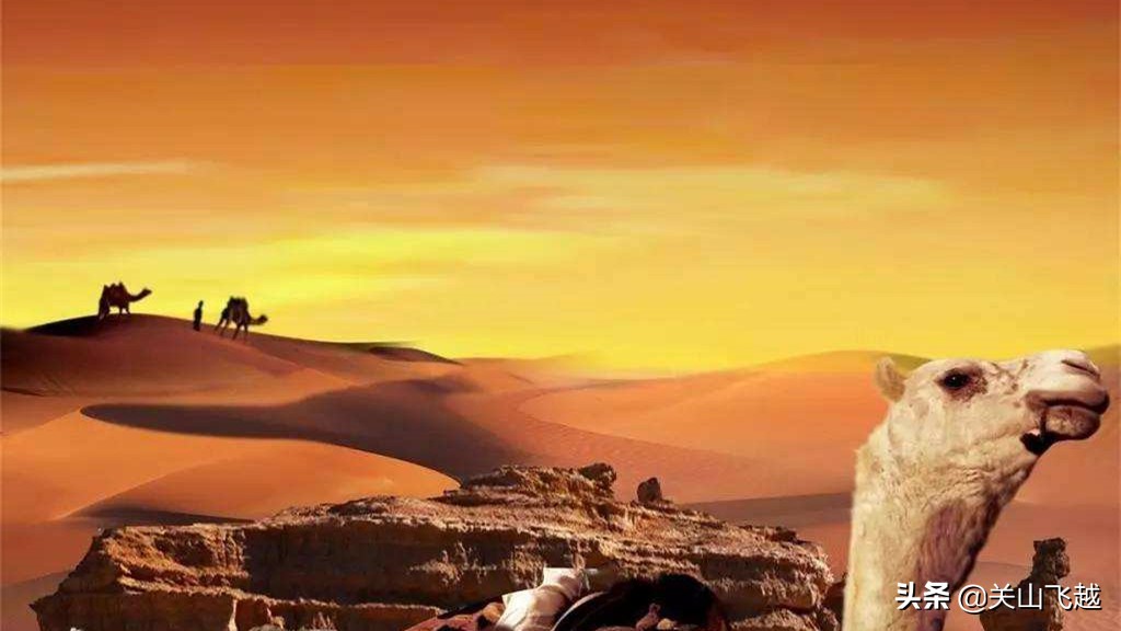 丝绸之路是一条什么的路,丝绸之路是一条什么样的路