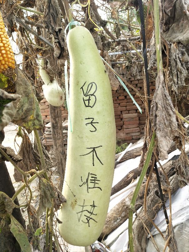 读易经感悟300字,阅读易经基础入门